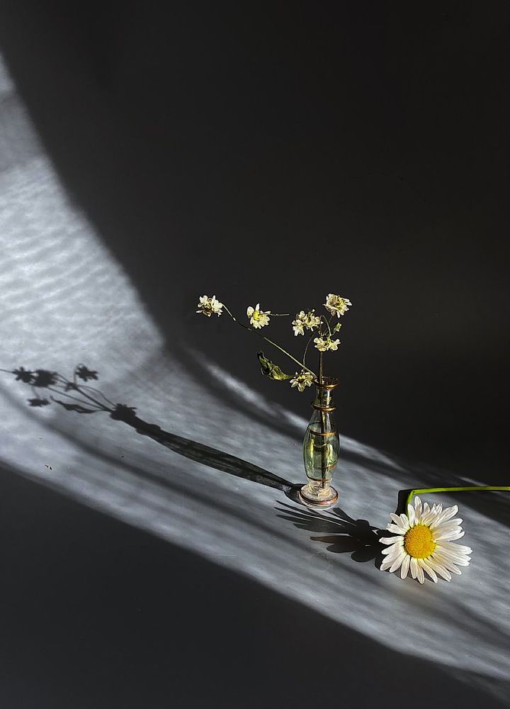 Photograph by Вера Романова