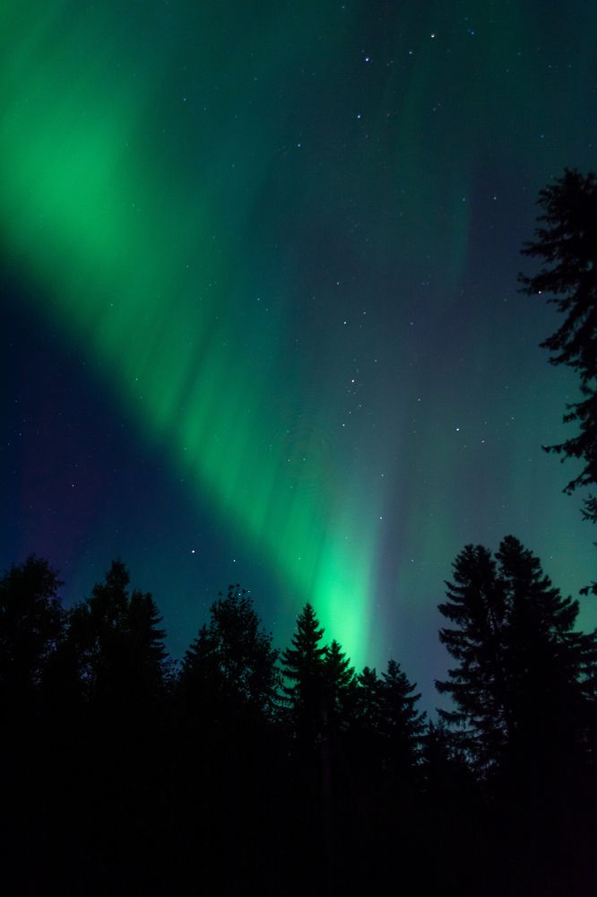 Photograph by Глеб Обуховский