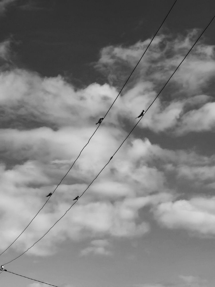 Photograph by Серафима Силина