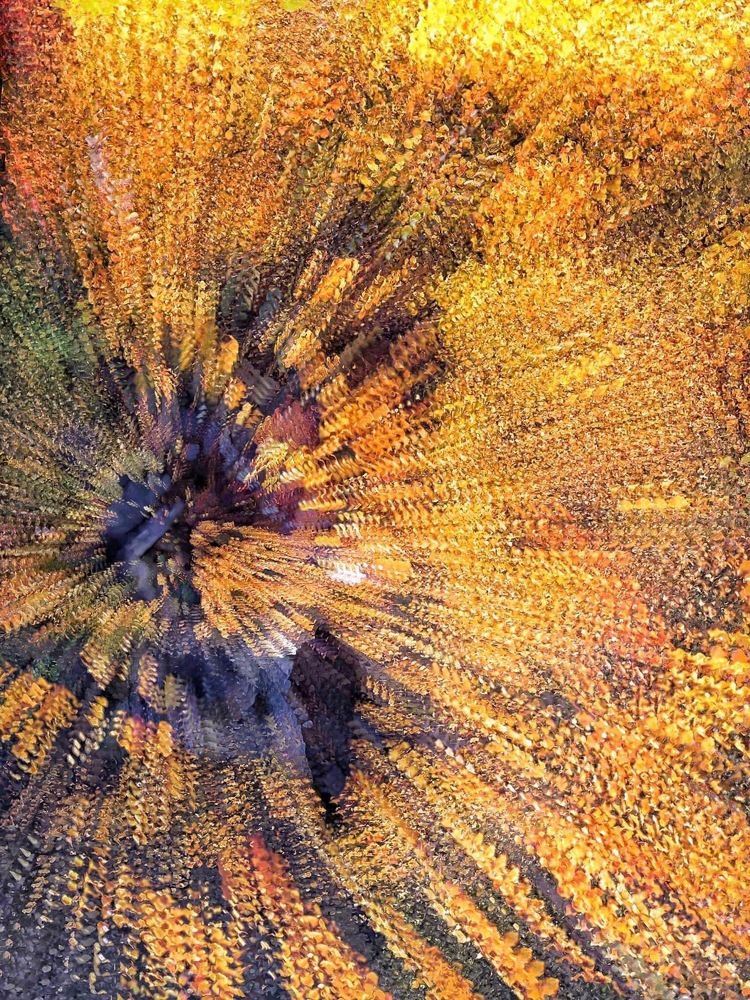 Photograph by Nunu Gambashidze