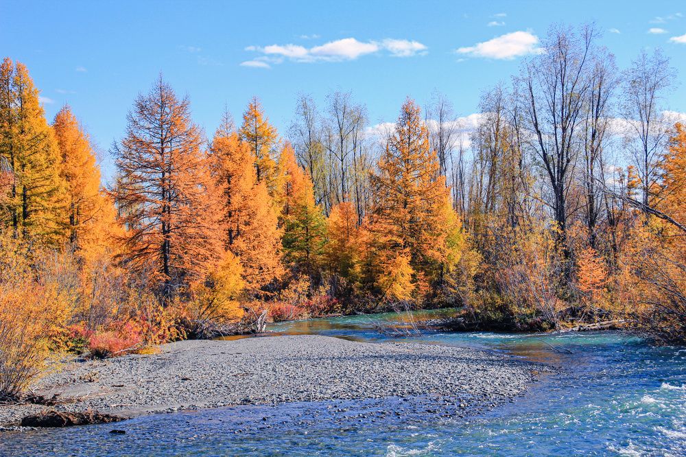 Photograph by Галина Искандарова