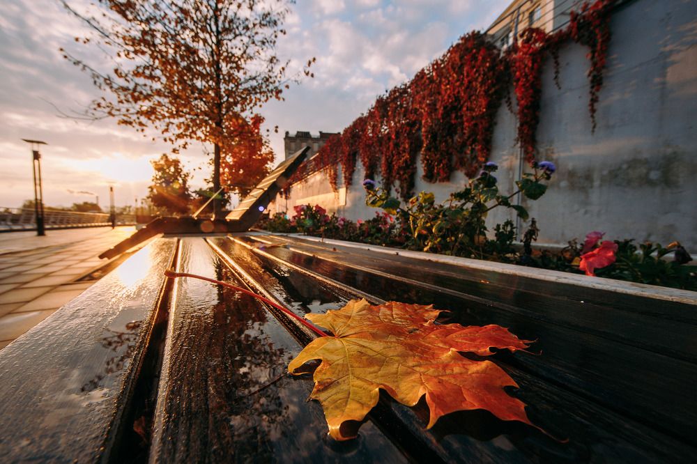 Photograph by Сергей Фадин