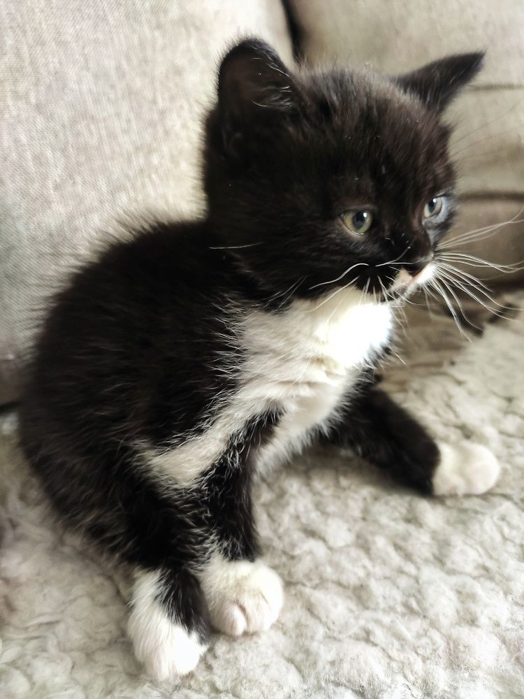 Фотография автора Оксана Радзиевская