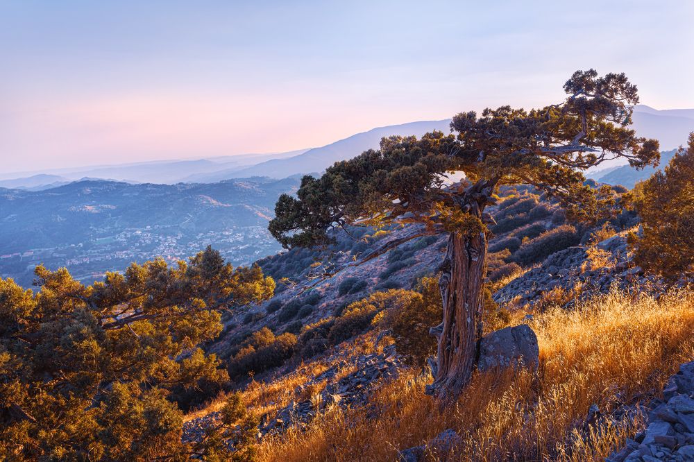 Photograph by Svetlana Tertyshnaya