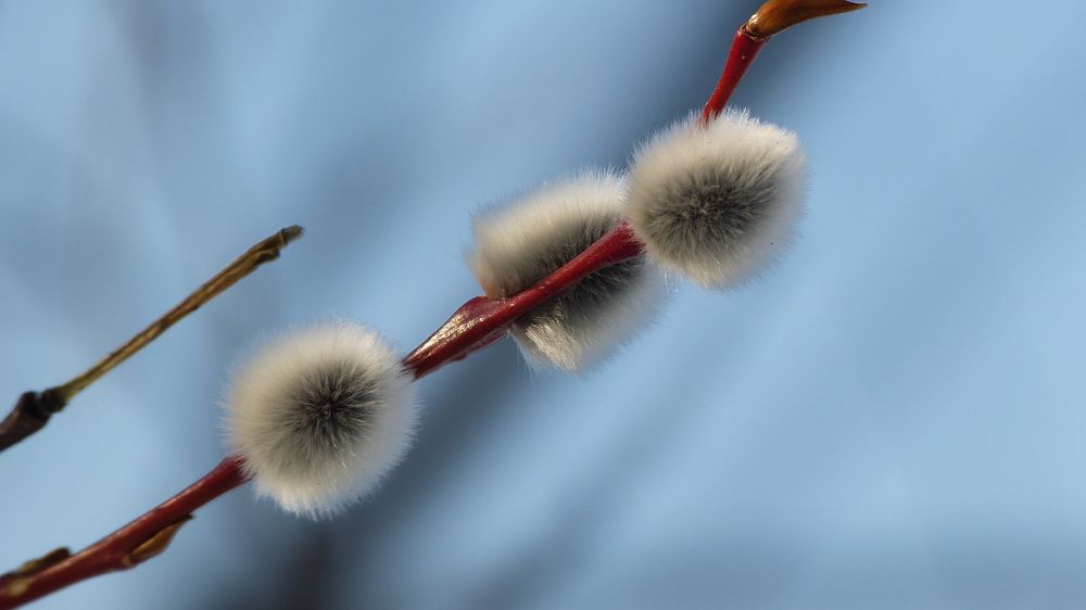 Photograph by Максим