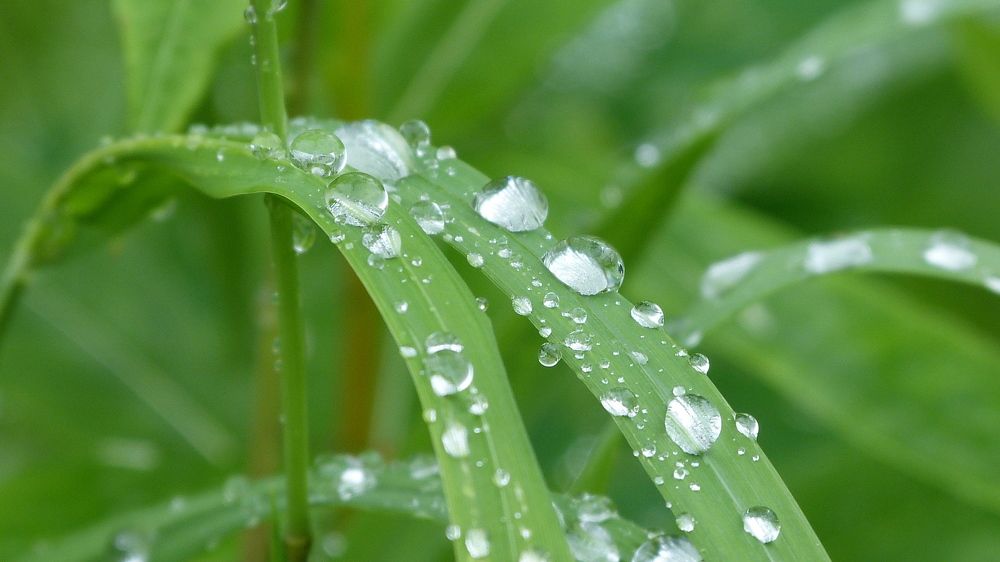 Photograph by Максим