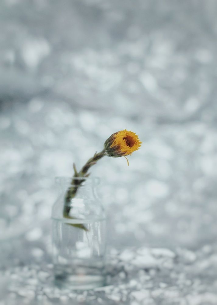 Photograph by Евгений Белов