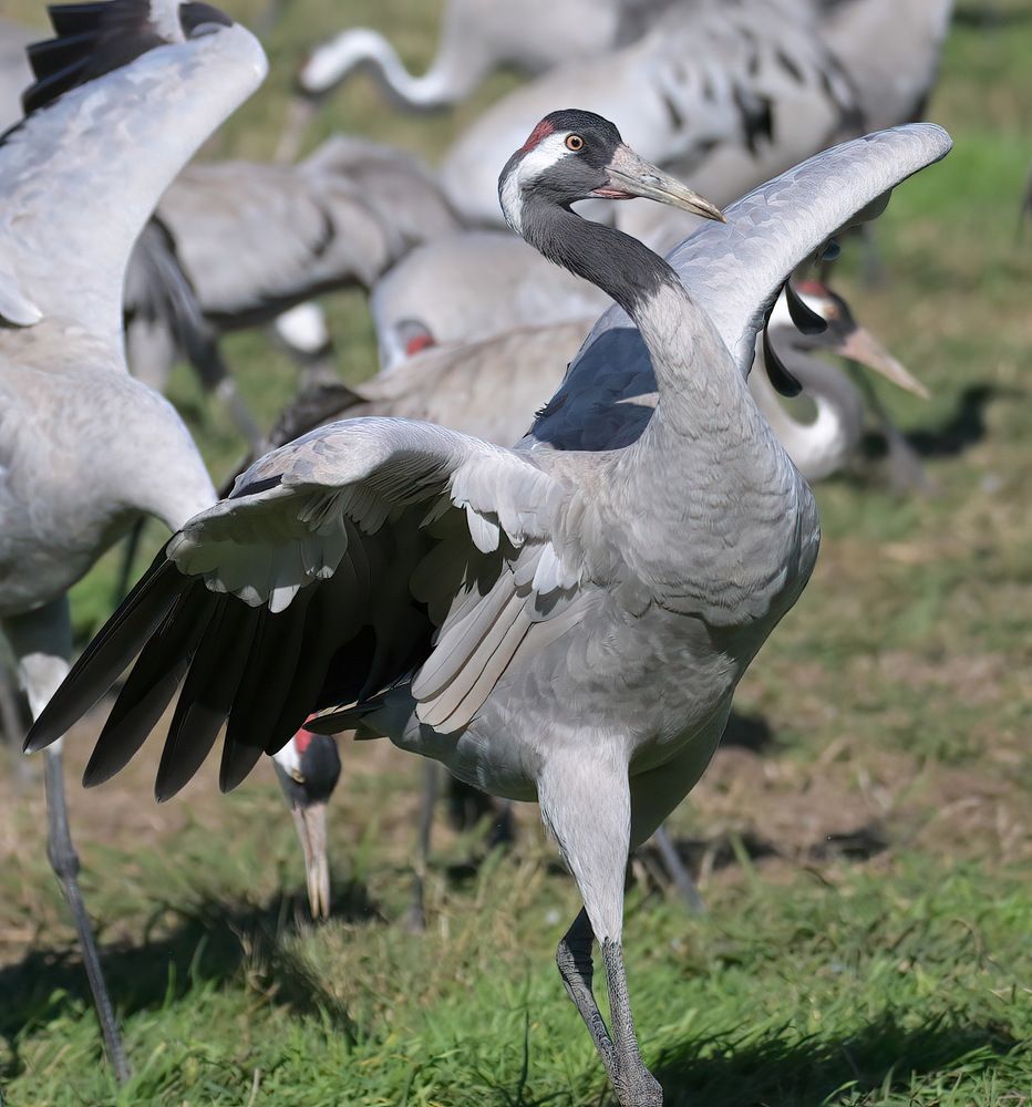 Фотография автора Mohammed sajd