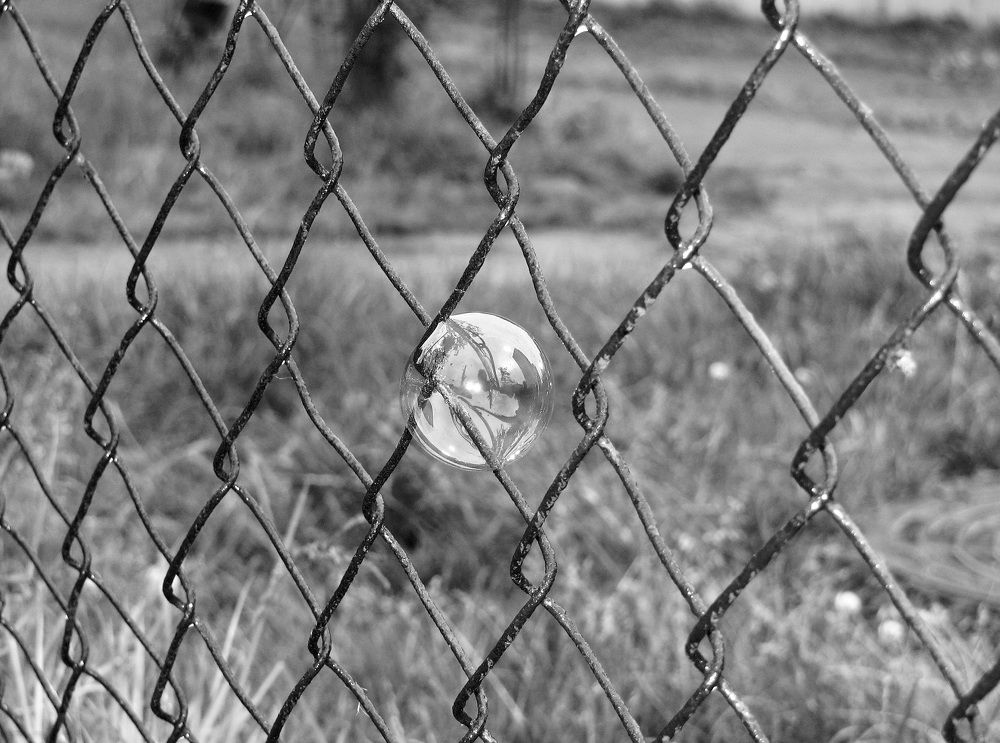 Photograph by Андрюс Рачис