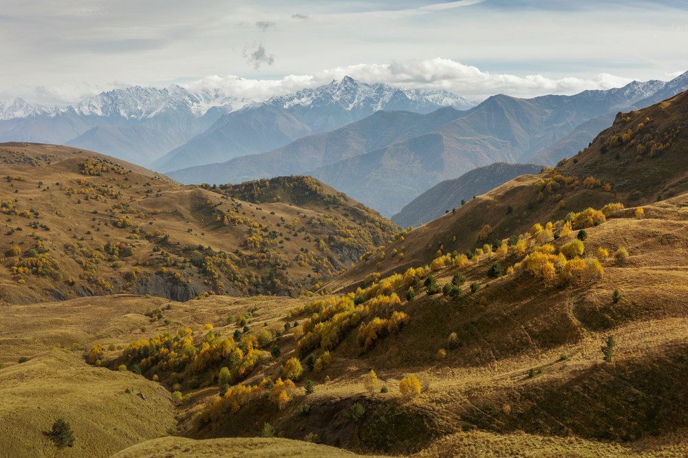 Photograph by Сергей Шпаков