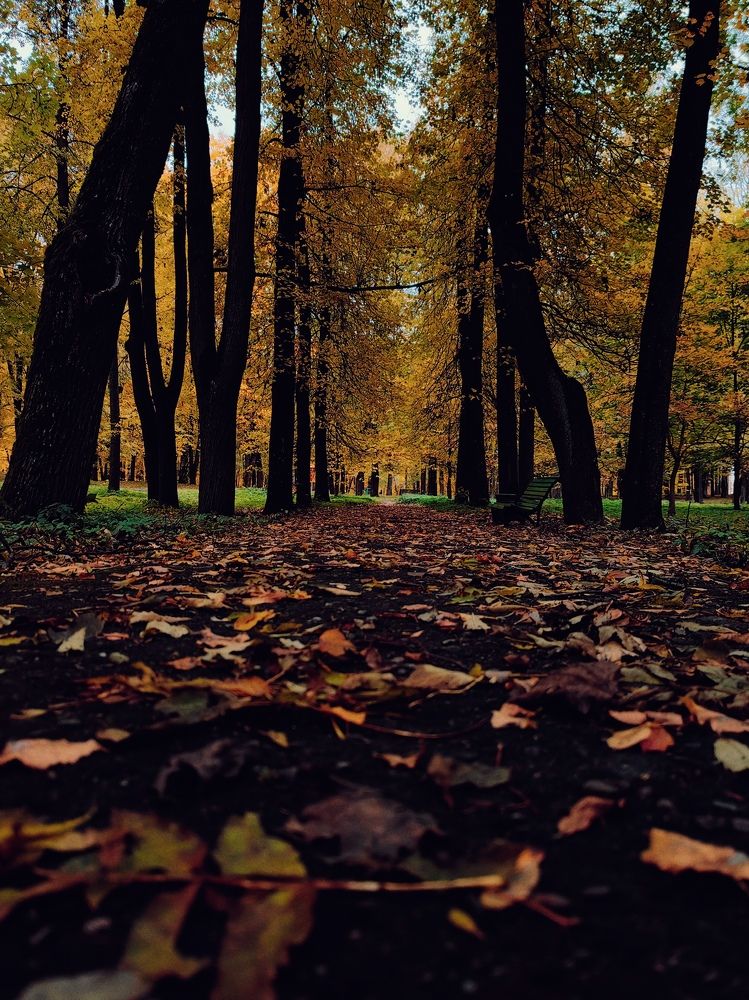 Photograph by Наталья