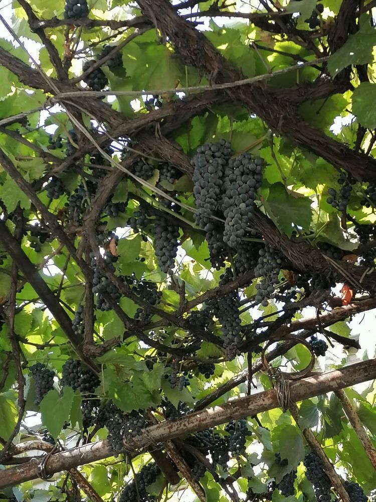 Photograph by Иващенко Юлия