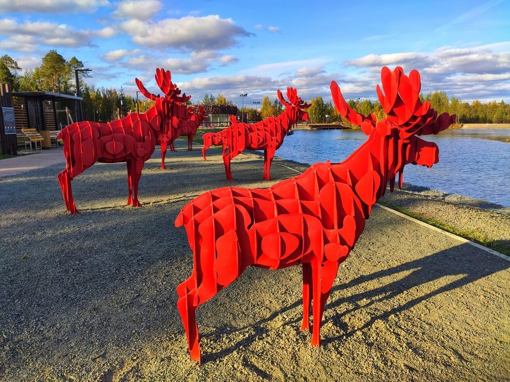 Красные лоси...Закат. Озёрный парк - Картопья!