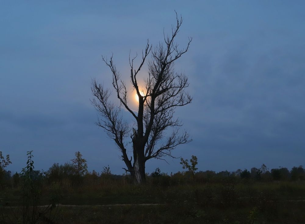 Photograph by Николай Круглов