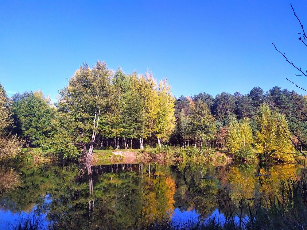 Photograph by Людмила Муравьева