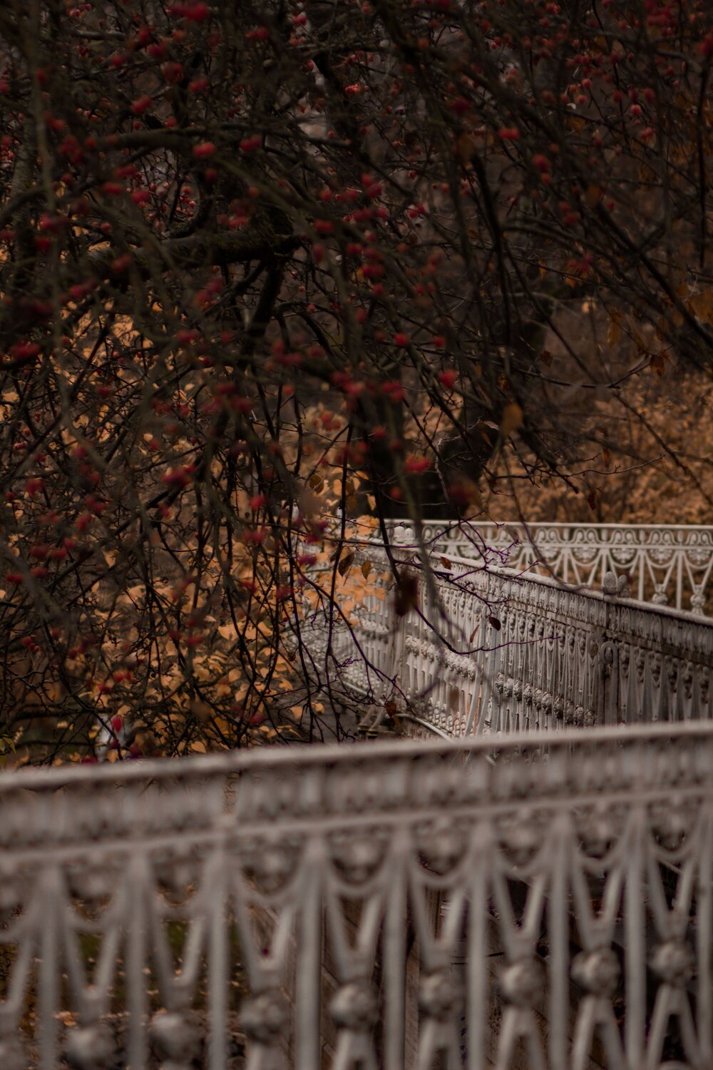 Photo #9716355