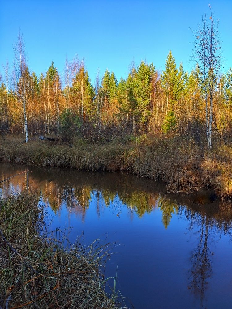 Отражение осени.
