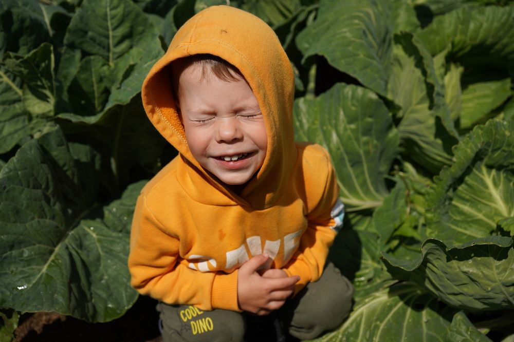 Photograph by Елена Копейкина