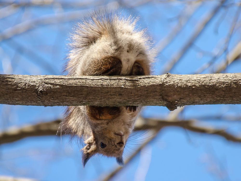 Photograph by Максим Кукурунд