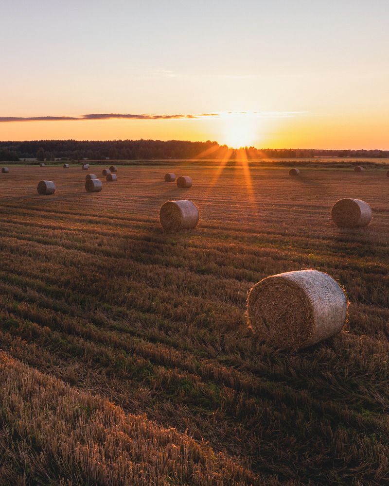 Photograph by Александр Давидик