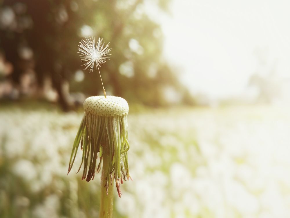 Photograph by Максим Кукурунд