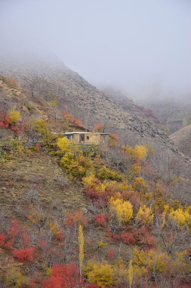 Photograph by Ehsan Fathi