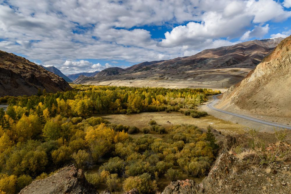 Фотография автора Рохмистрова Мария