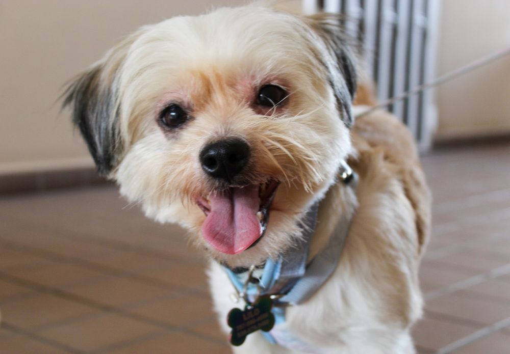 Фотография автора Jose Otero