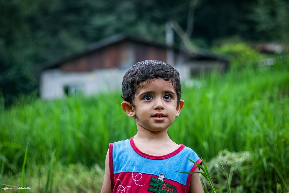 Photograph by Mostafa Mortazavi