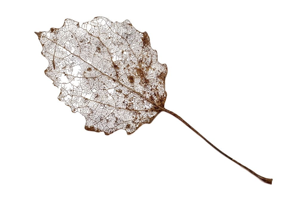 Photograph by Максим Кукурунд