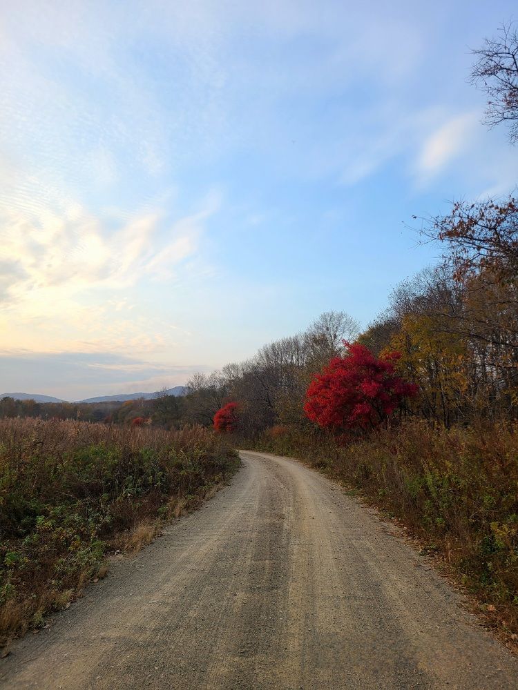 Photograph by Татьяна Бухтиярова