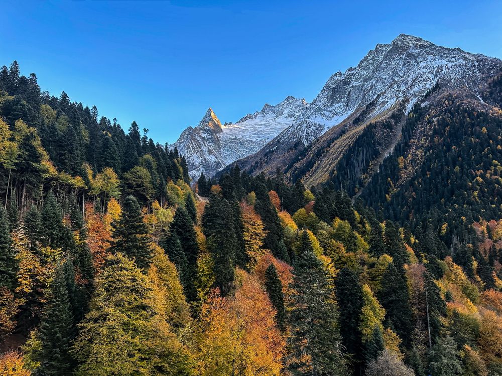 Photograph by Анна Петриенко