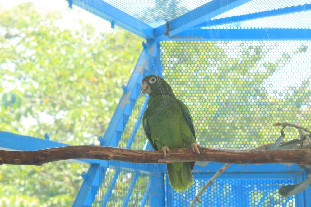 Фотография автора Jose Otero