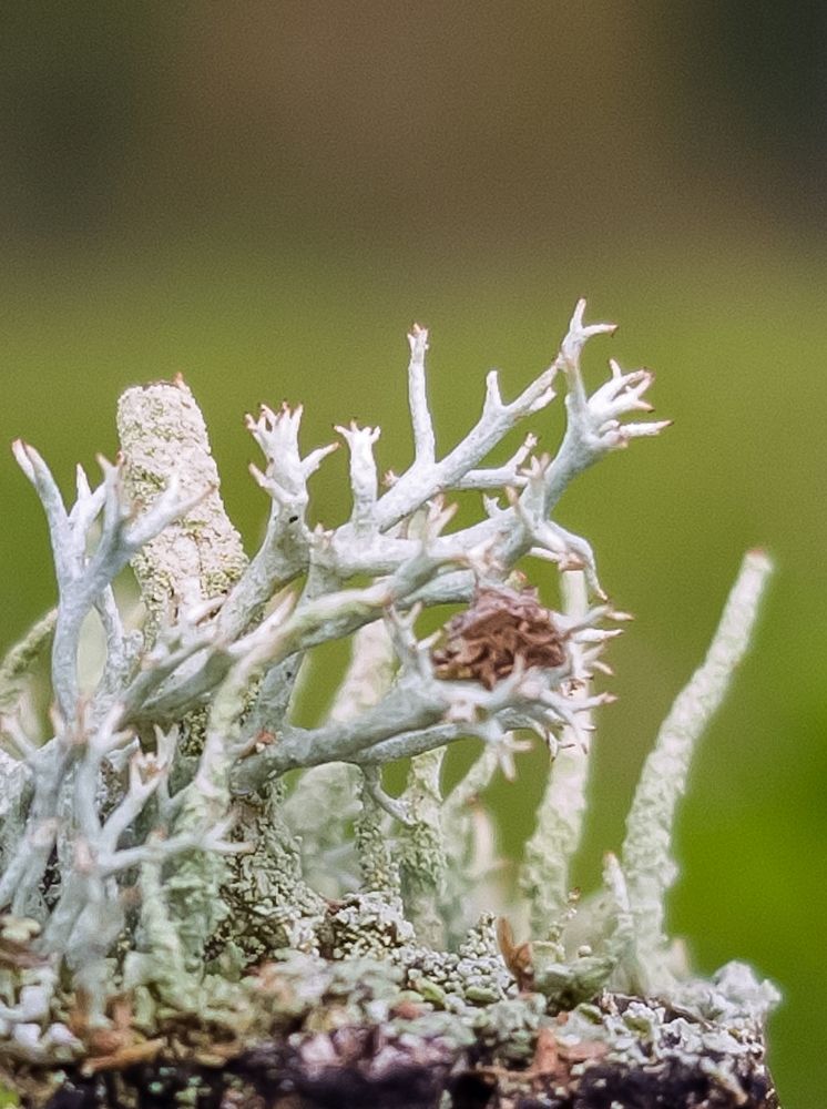 Photograph by adriana menez