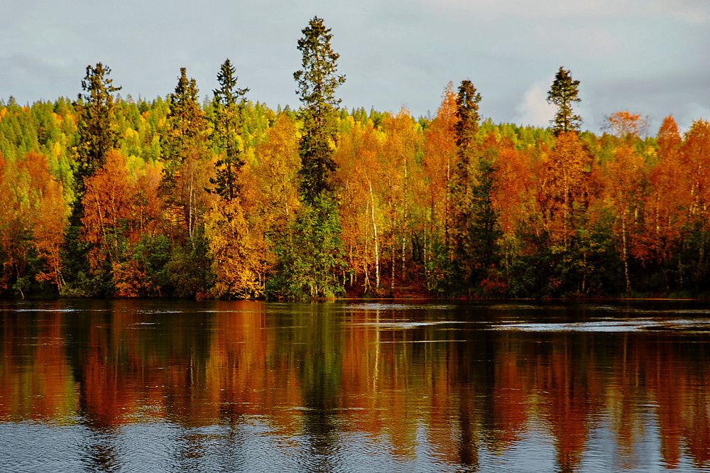 Photograph by Переслегин Александр
