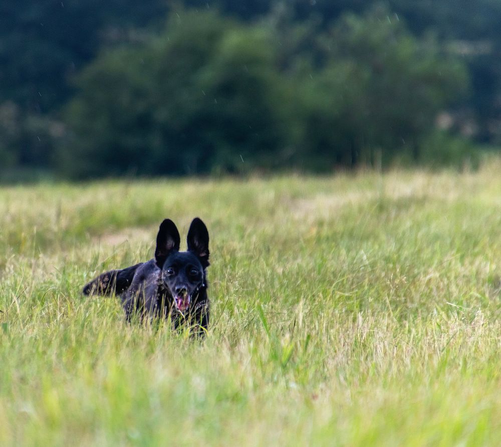 Photograph by Irina Beleva