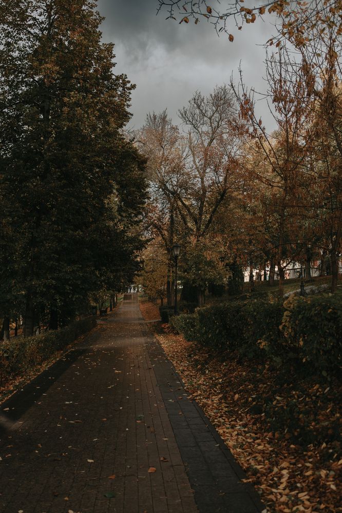 Photograph by Ксения Кузнецова