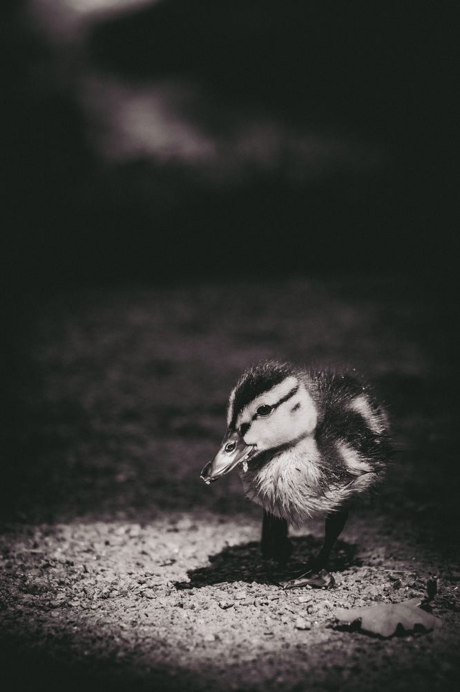 Photograph by Софья Зенина