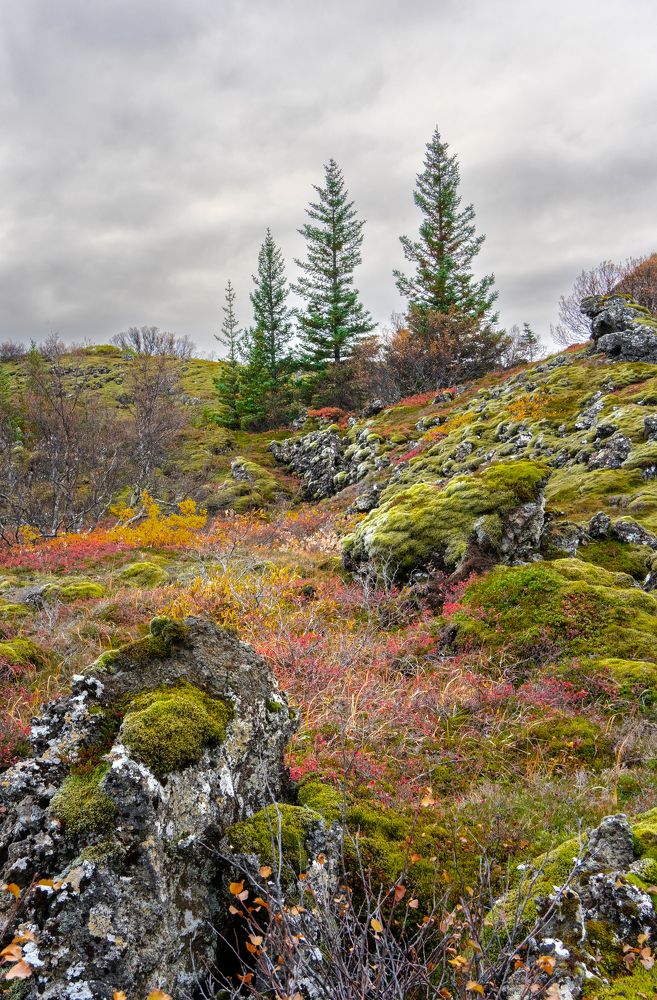 Photograph by Piotr Mickevic