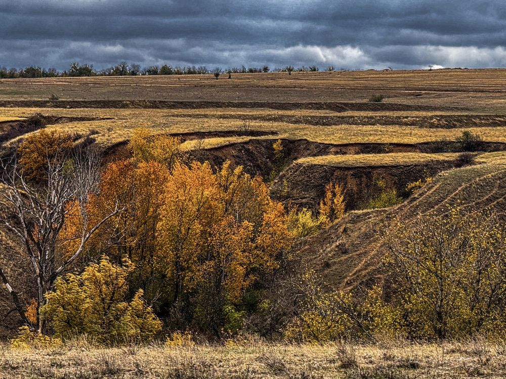 Photograph by Ирина Куренкова