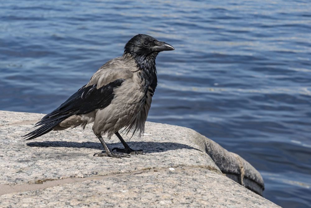 Photograph by Марина Вильдяева