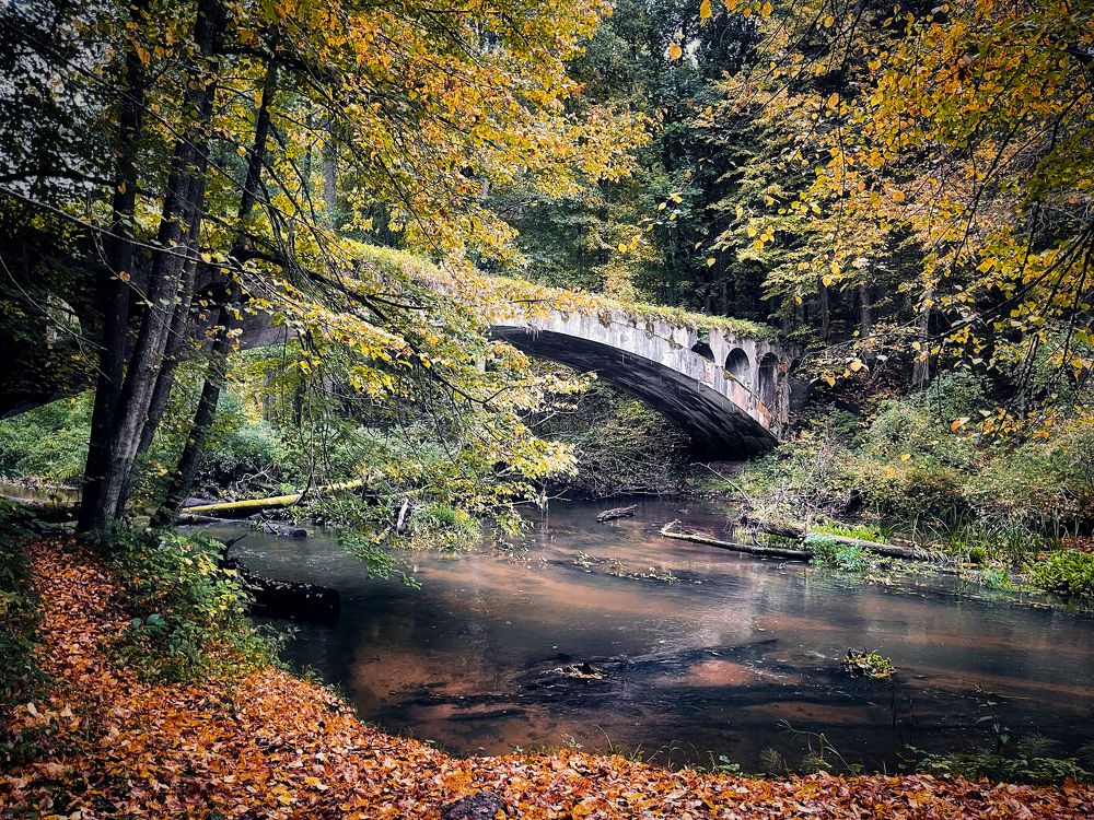 Photograph by Ирина Саакова