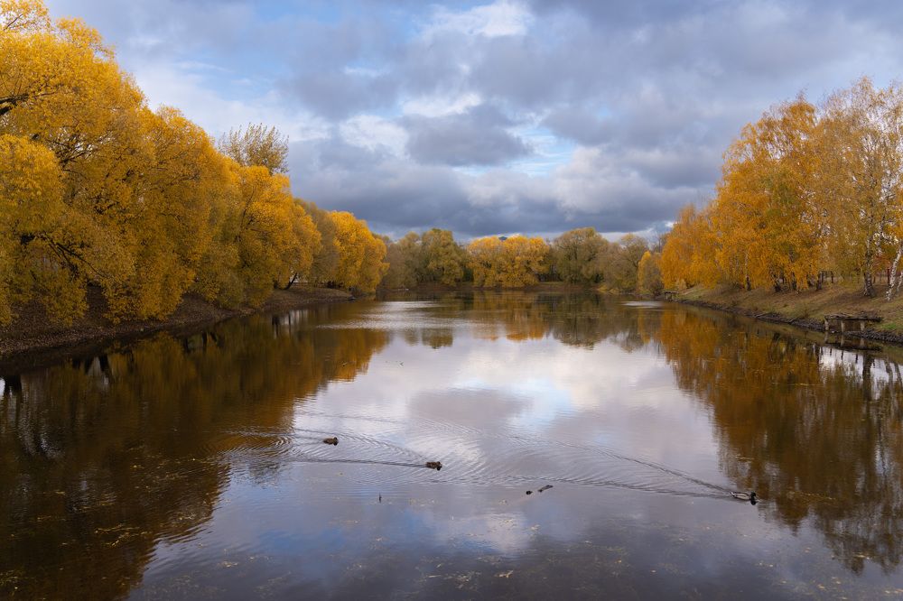 Фотография автора Светлана Зимина