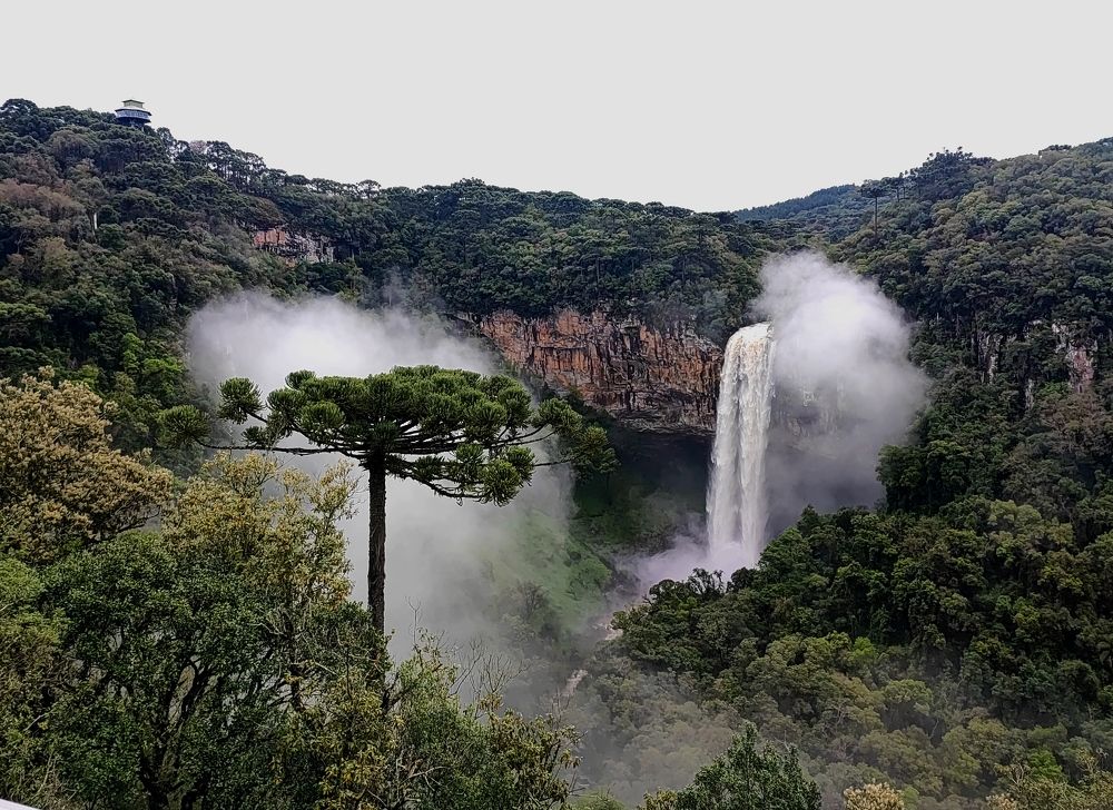 Photo #9716666