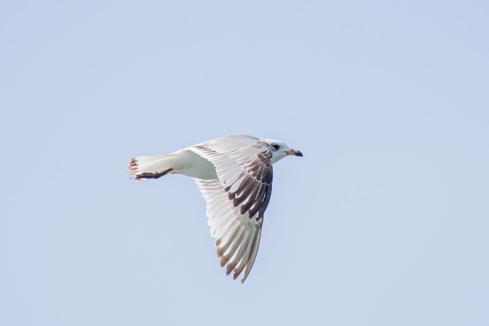 Photograph by Bassant Mohamed Salama