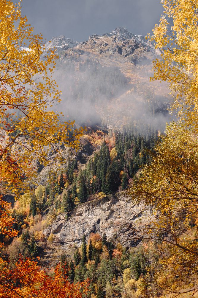 Краски осени