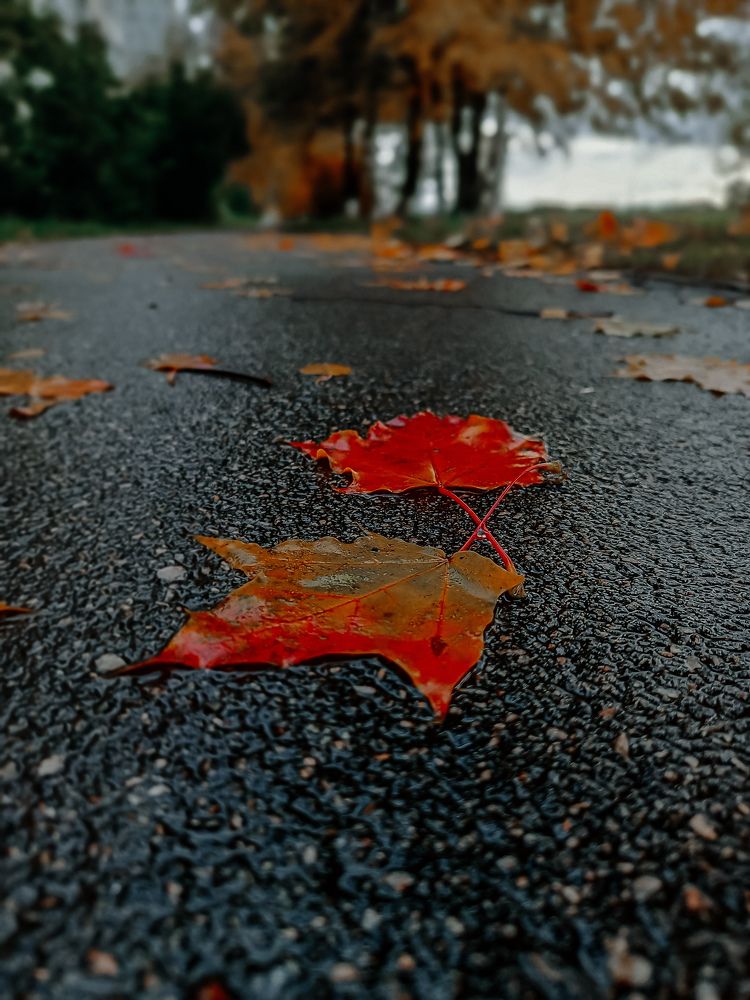 Photograph by Ирина Забродина