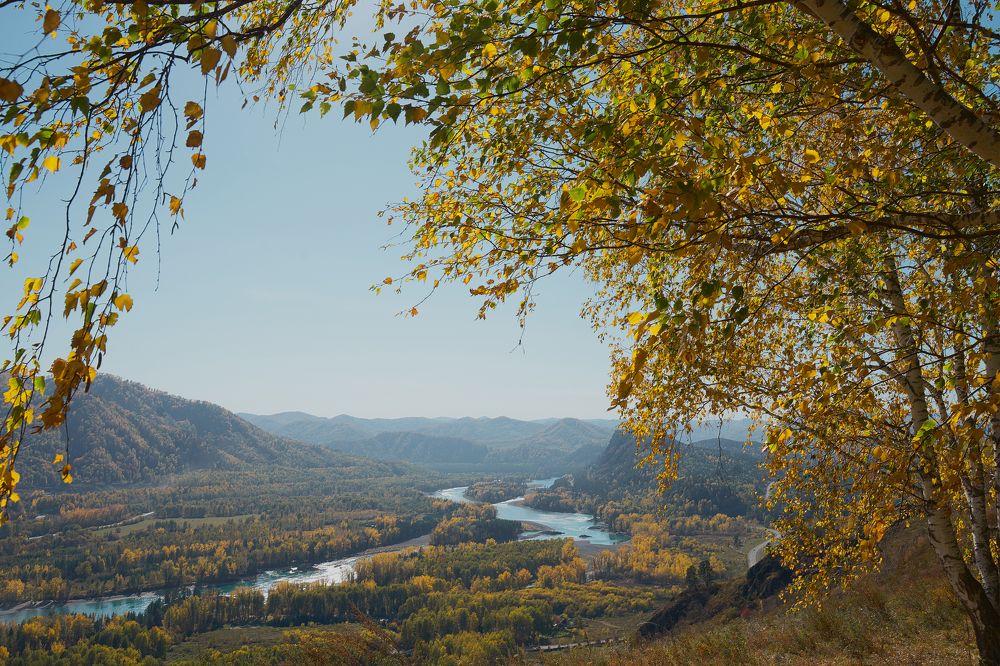 Photograph by Ирина Секачева