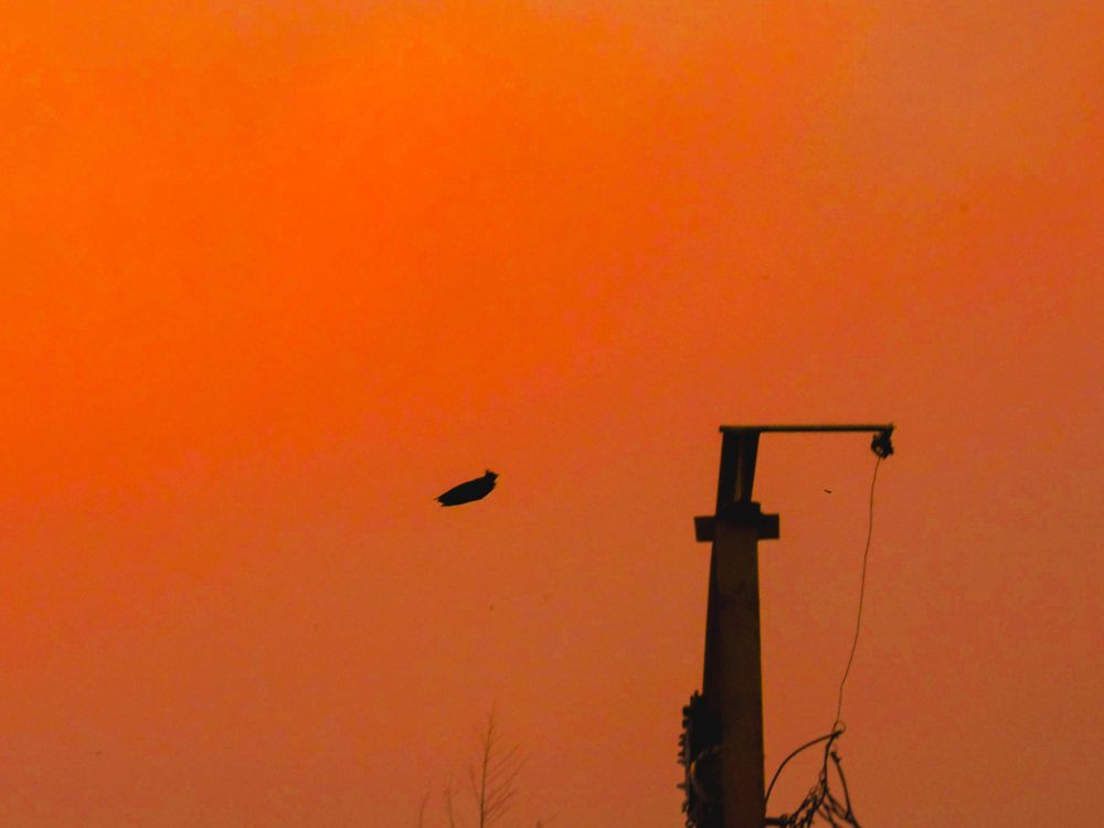 Photograph by Maria julieta ZURZOLO