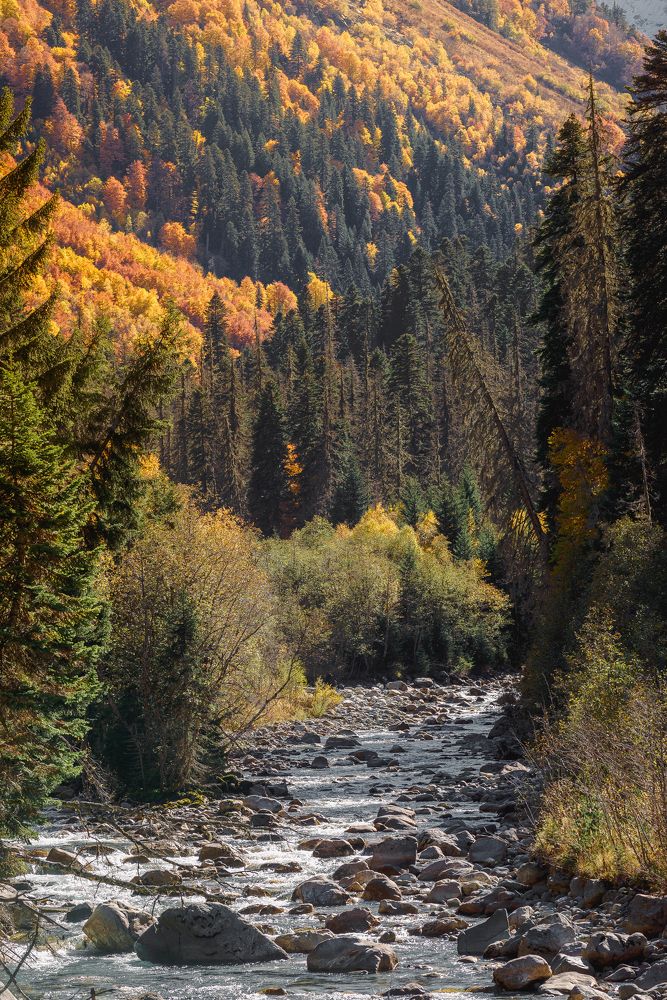 Желтые склоны